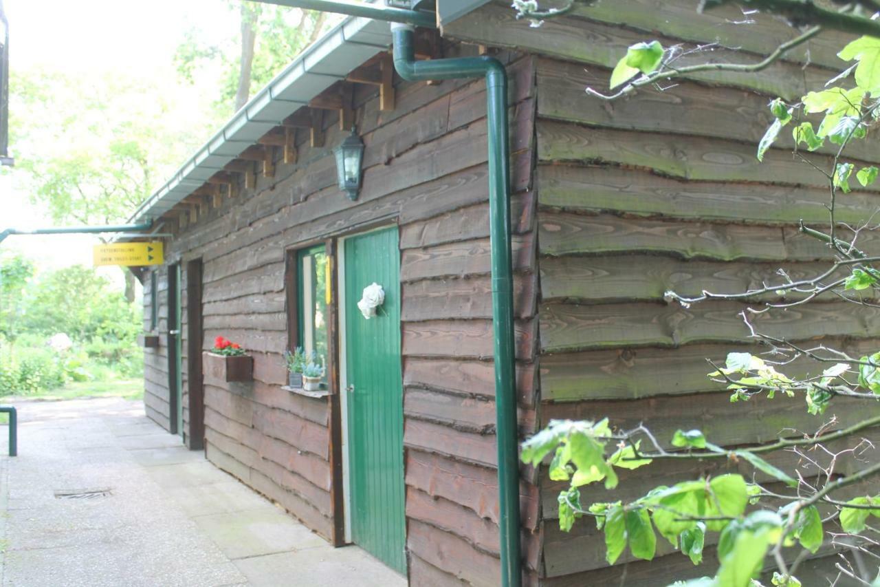 Pipowagen Hotel Tynaarlo Екстериор снимка